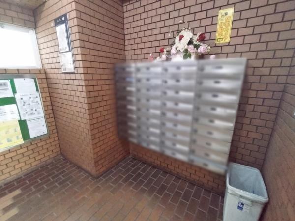 ドムール平野