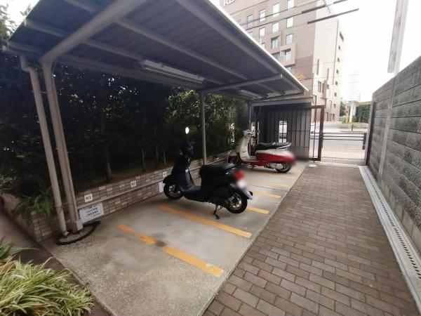 コート新深江