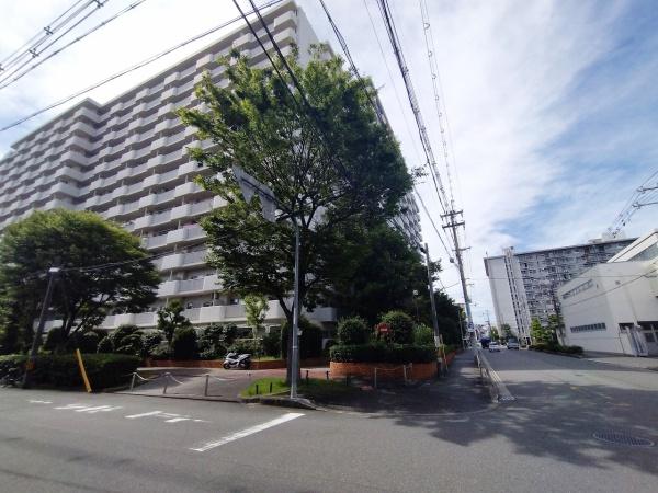 エルグリーンたつみ