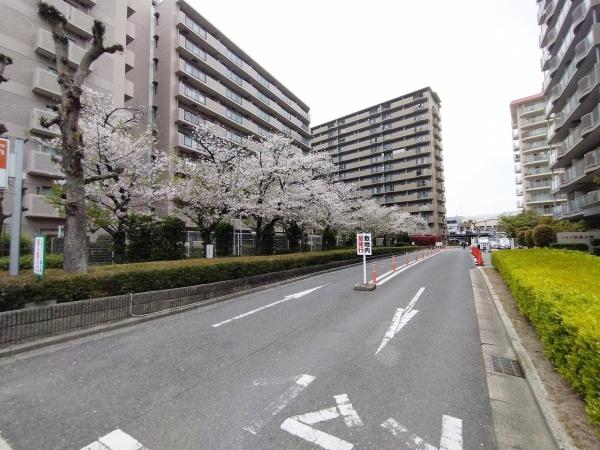 シティハイツ森小路2号棟