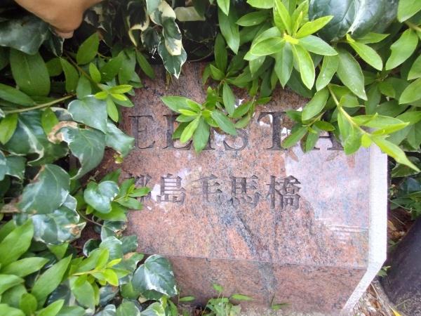 ＢＥＬＩＳＴＡ都島毛馬橋