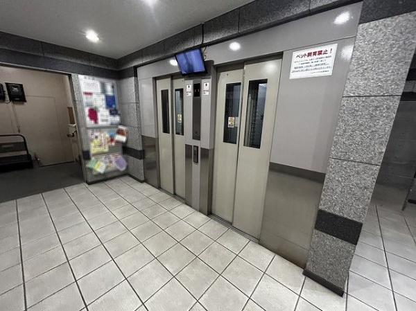 ハイマートすみれ