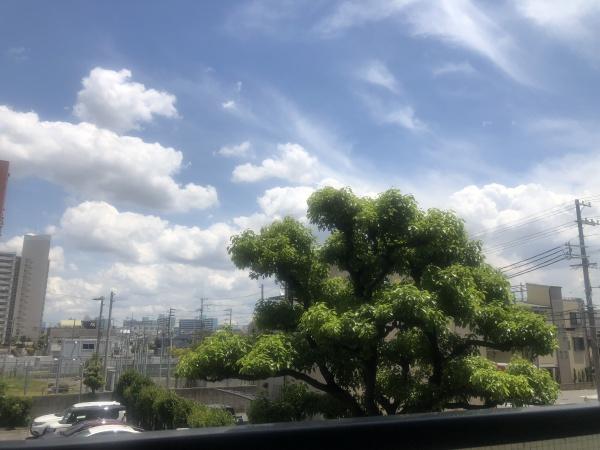 ルネ・パークプラザ