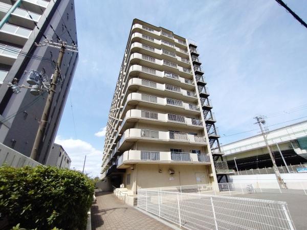 ドルミ野田