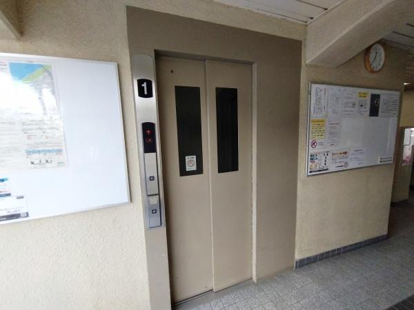 ドルミ野田