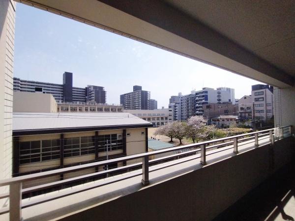 ジオタワー南堀江