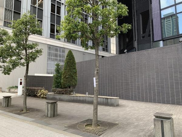 シティタワー西梅田
