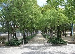 大阪市大正区泉尾4丁目の土地(泉尾公園)