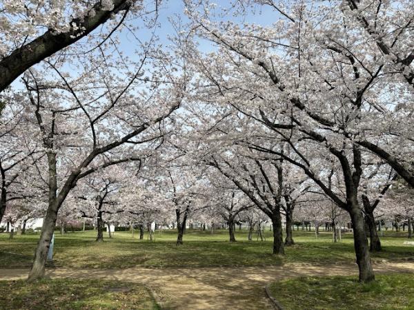 パークハイツ千島(小林公園)