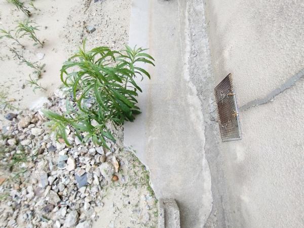 大阪市大正区鶴町３丁目の土地