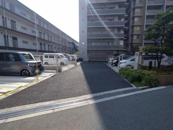 ペルル加島