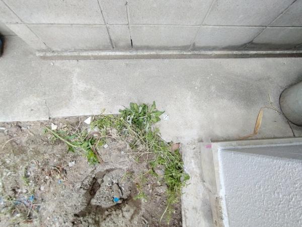 大阪市淀川区田川1丁目　新築戸建