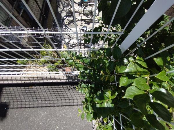 大阪市中央区谷町７丁目の土地