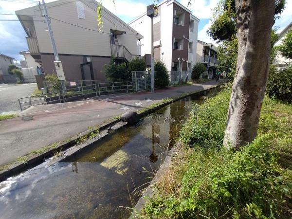 大阪市東淀川区大桐５丁目の土地