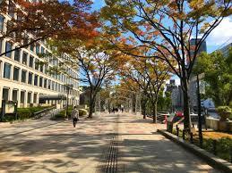 アウラ京町堀(中之島緑道)