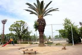 ハルモシティ(春日出公園)