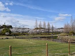 寝屋川市太秦中町の中古一戸建て(打上川治水緑地)
