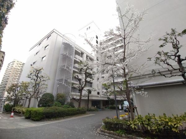 シャンボール天満