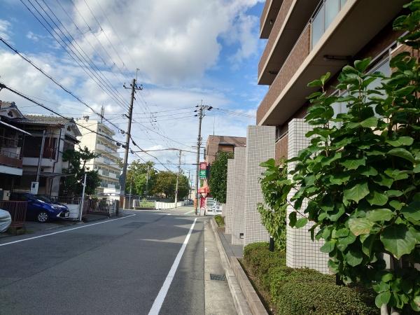 ルイシャトレ園田ミオヴィータ