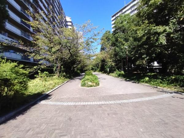 ベル・パークシティE棟(その他現地)