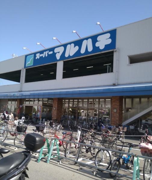 セントラルパレス千船アルテア(スーパーマルハチ杭瀬店)