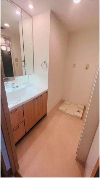 リバーガーデンシティさくらの丘(洗面台・洗面所)