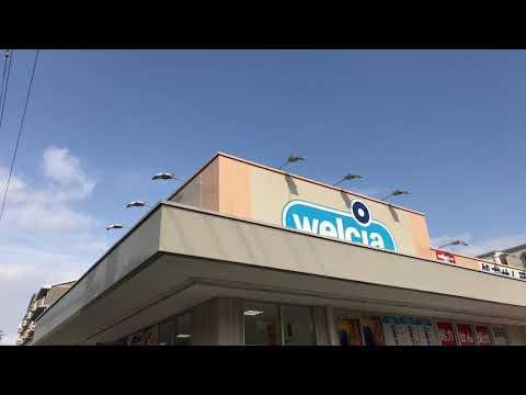 大阪市鶴見区茨田大宮３丁目の中古一戸建て(ウエルシア鶴見茨田大宮店)