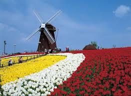 ネオコーポ鶴見緑地二番街A棟(花博記念公園鶴見緑地)