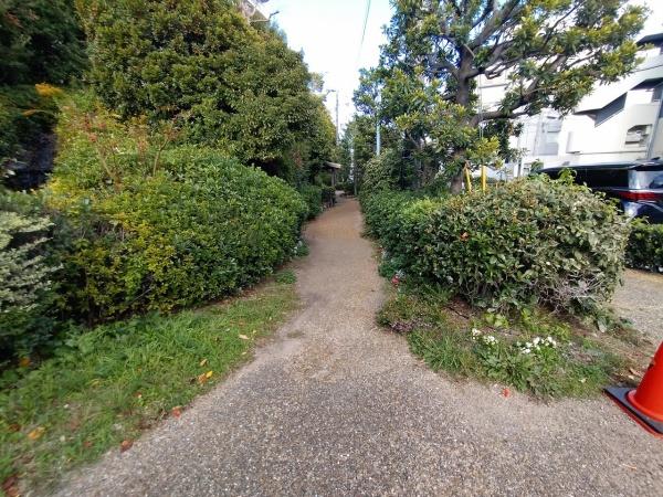 三国の川辺の森　リバーガーデン