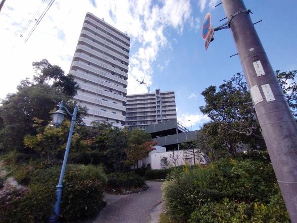 三国の川辺の森　リバーガーデン