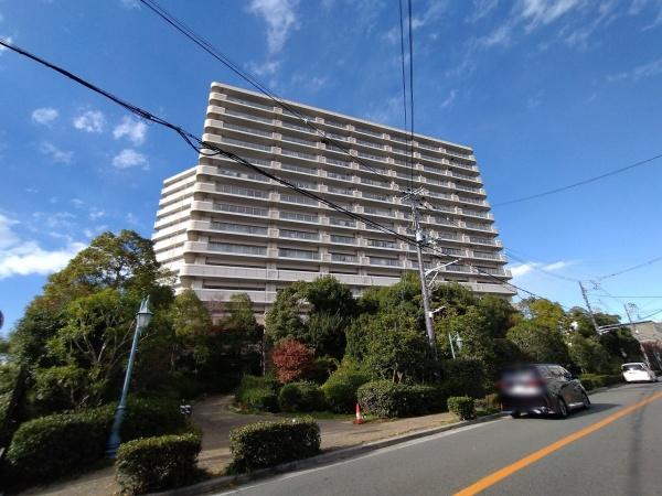 三国の川辺の森　リバーガーデン