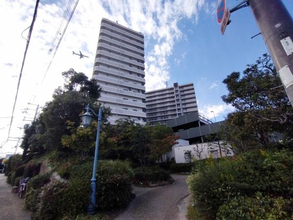 三国の川辺の森　リバーガーデン