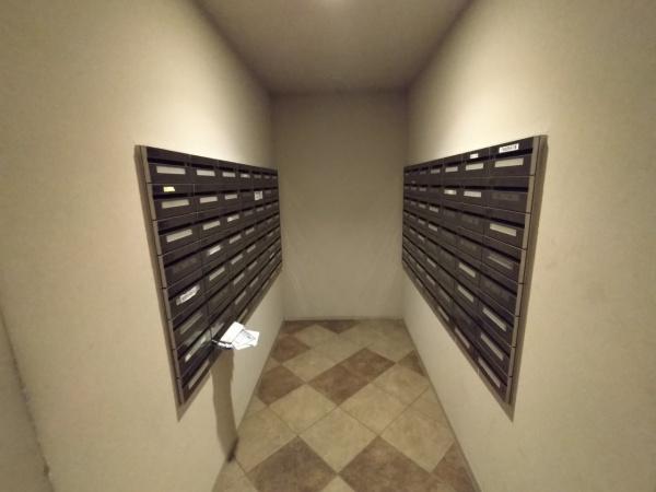 三国の川辺の森　リバーガーデン