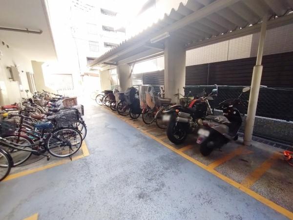 カーサー弥生