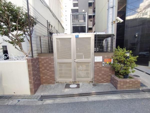 カーサー弥生