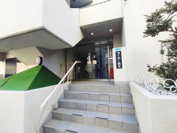 カーサー弥生