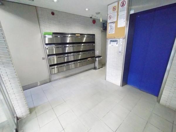 カーサー弥生