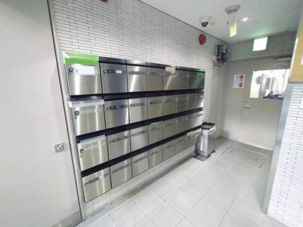 カーサー弥生