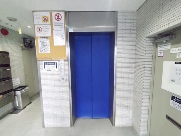 カーサー弥生