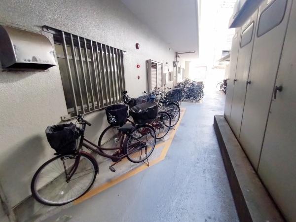 カーサー弥生
