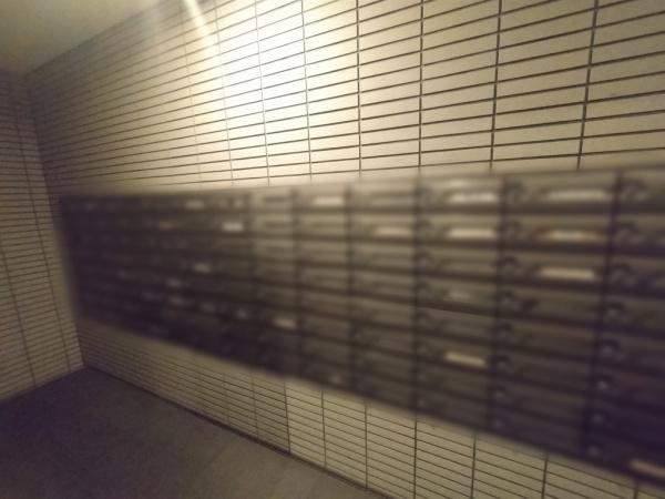 ペルル加島