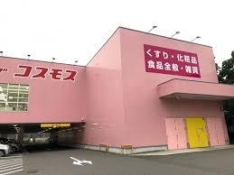 鶴見緑地レックスマンション(ディスカウントドラッグコスモス鴻池徳庵店)