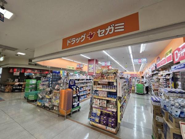 コスモ・シティガーデンズ(ドラッグセガミ大和田店)