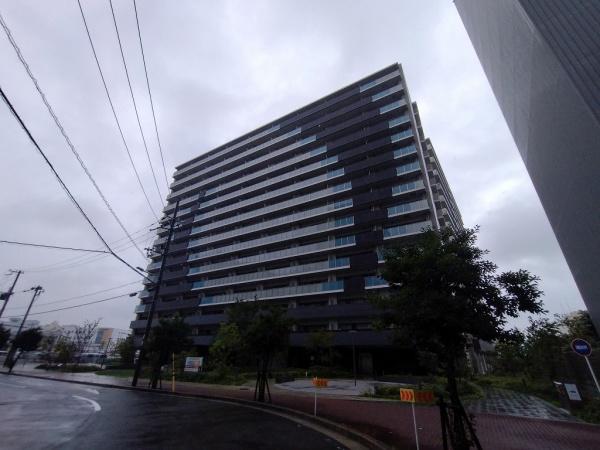 ハルモシティ