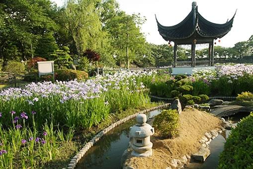 池田市五月丘４丁目の中古一戸建て(水月公園)