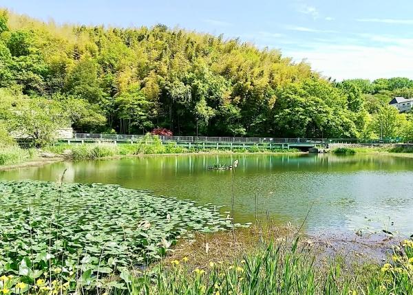 神戸市垂水区塩屋北町２丁目の中古一戸建て(塩屋台公園)