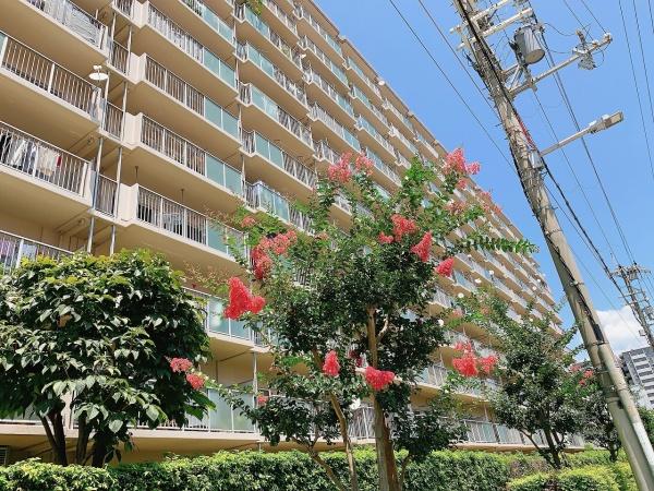 レックスタウン新高壱号館