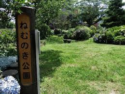 星和プラネタウン千里南第1期C棟(ねむのき公園)