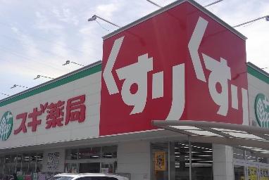 桜台ハイツ2号棟(スギ薬局宝塚南店)