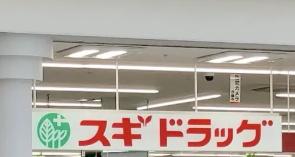 摂津市鳥飼下１丁目の土地(スギドラッグ南摂津店)